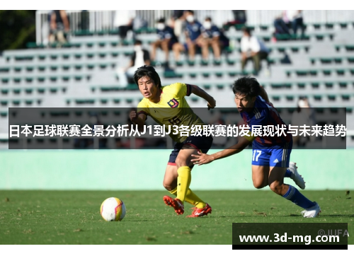 日本足球联赛全景分析从J1到J3各级联赛的发展现状与未来趋势