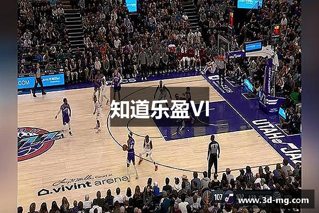 知道乐盈VI